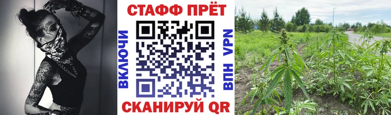 Магазин наркотиков Ессентукская ГАШИШ A PVP Галлюциногенные грибы COCAIN Меф мяу мяу Амфетамин
