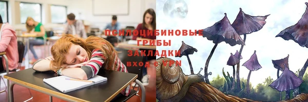 меф Гусиноозёрск
