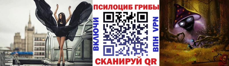 blacksprut ссылка  Ессентукская  Галлюциногенные грибы Psilocybe 