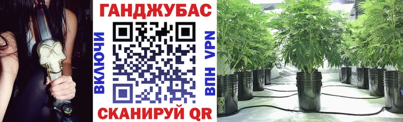 Каннабис марихуана  Ессентукская 